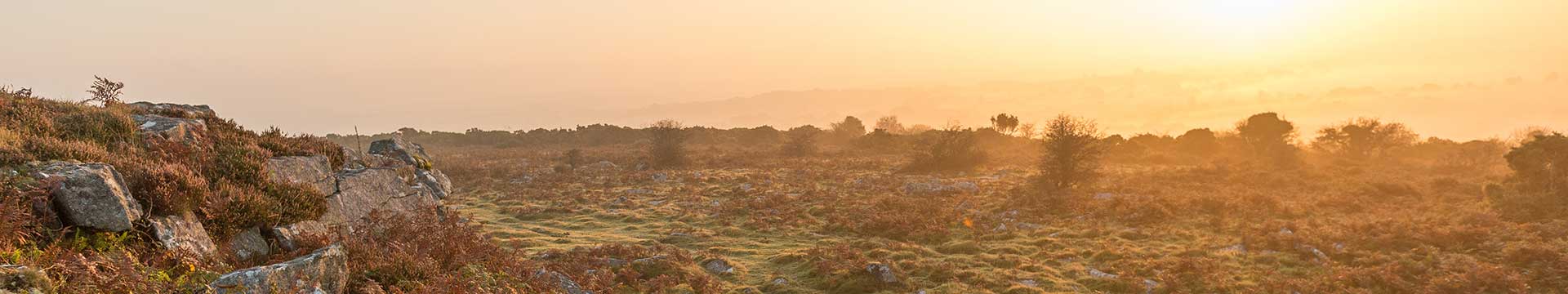 Bodmin Moor Cottages