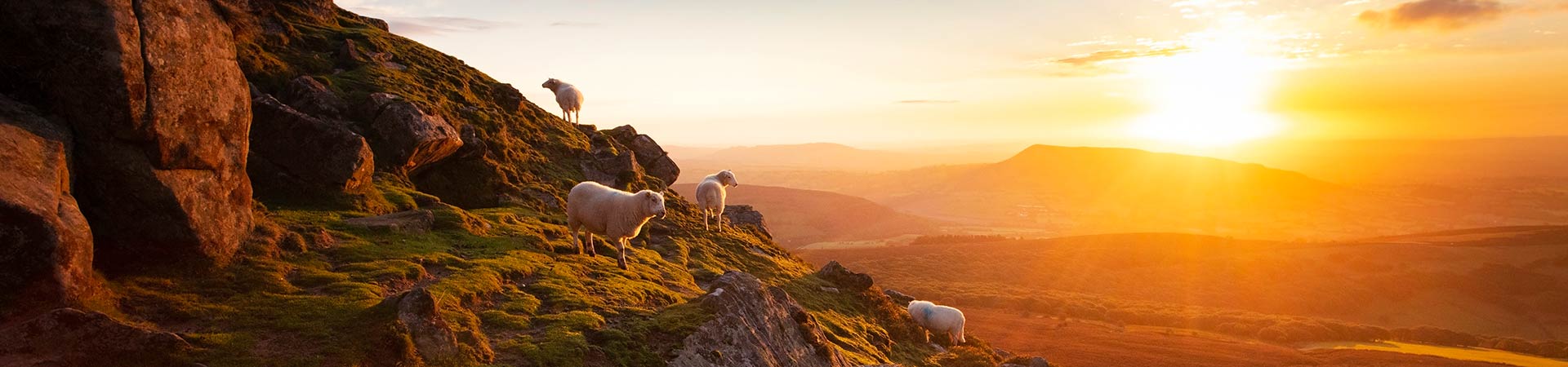 Cottages in Monmouthshire