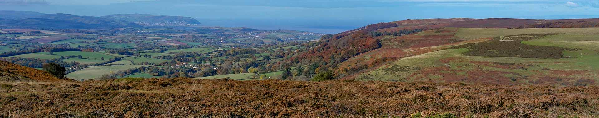 Cottages on the Quantock Hills
