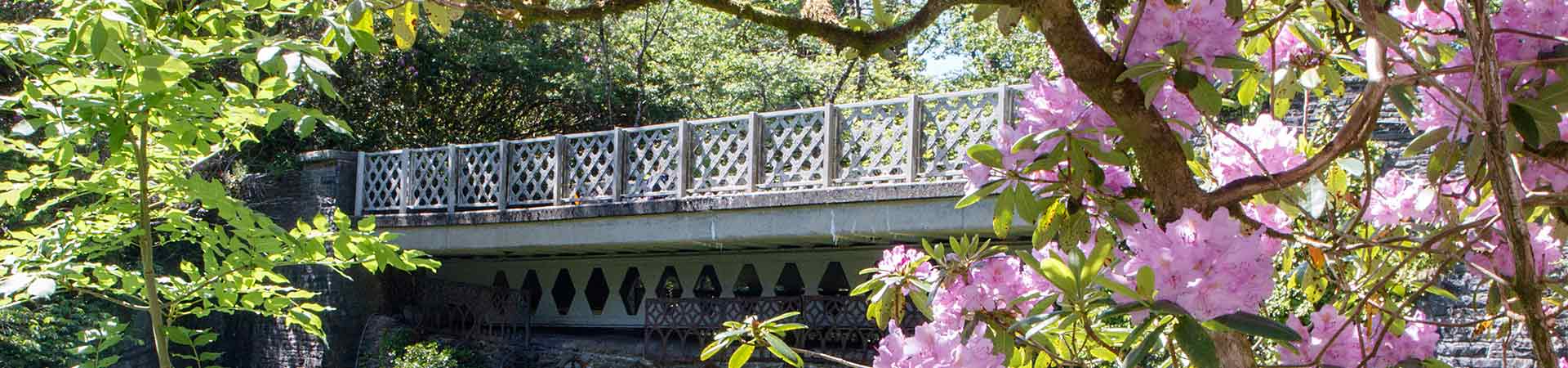 Cottages in Devil's Bridge