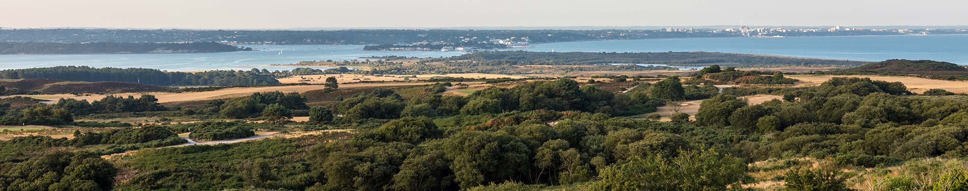 Dorset AONB Cottages