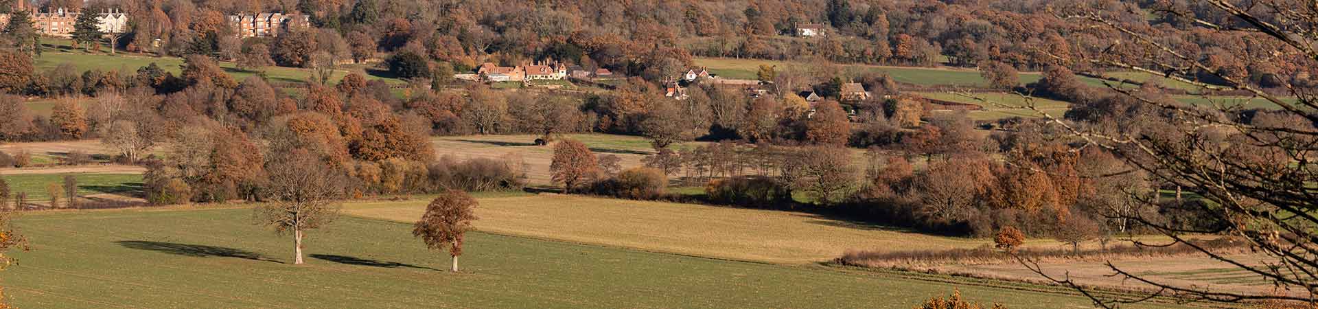 High Weald Cottages