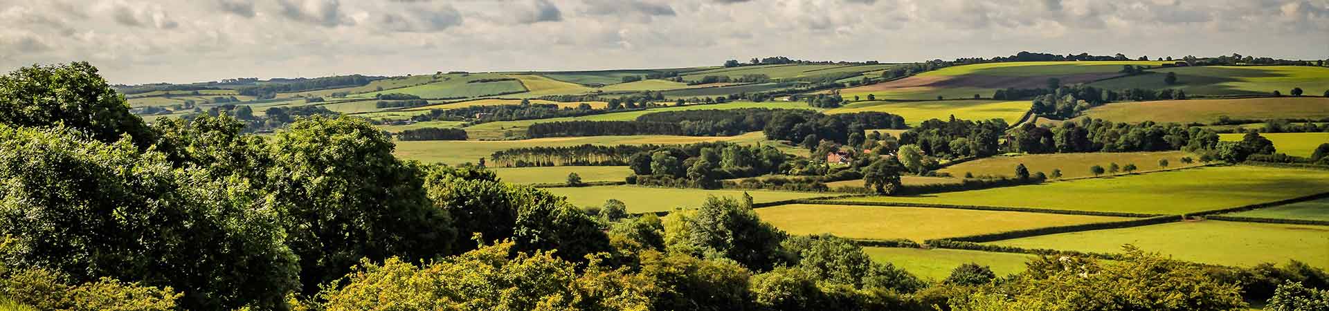 Cottages in Market Rasen