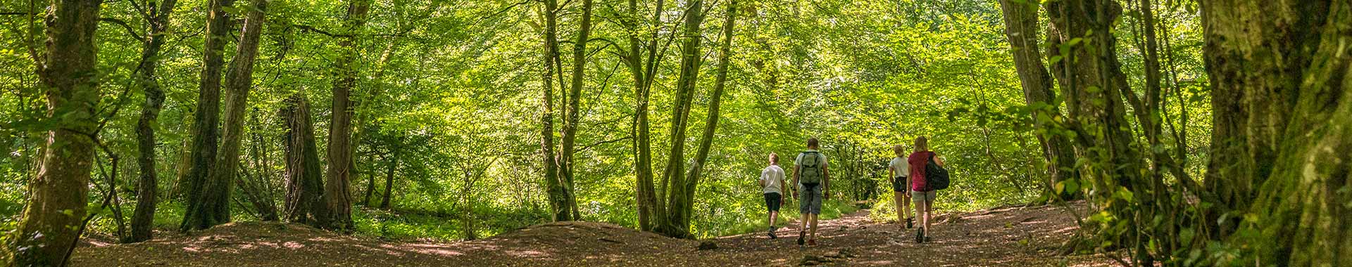 Mendip Hills Cottages