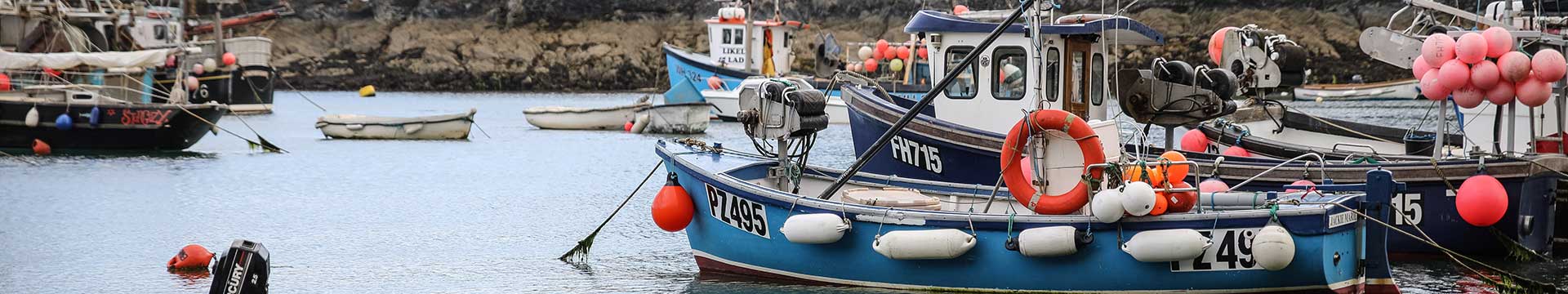 Mevagissey Cottages