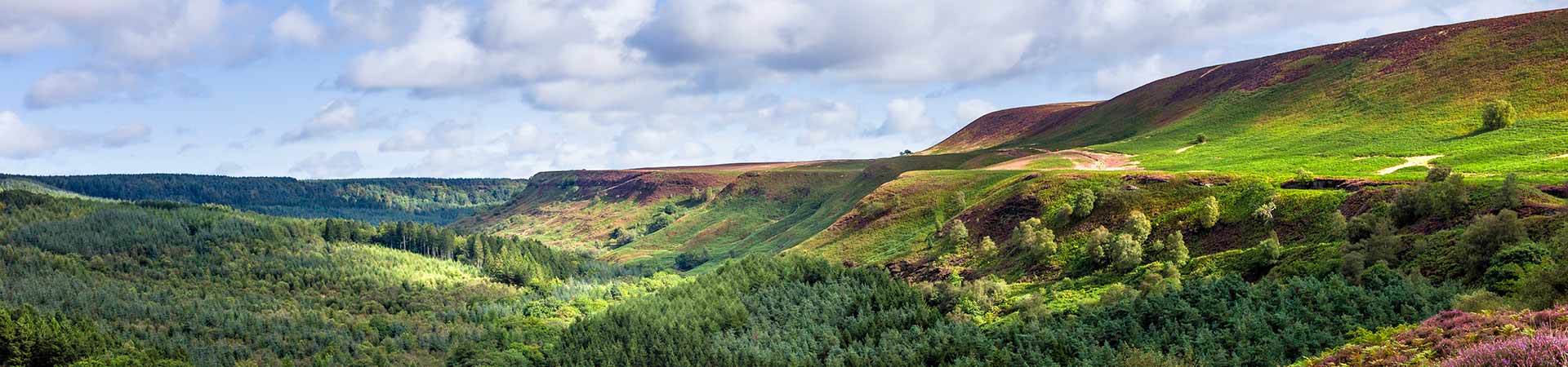Cottages in North Yorkshire