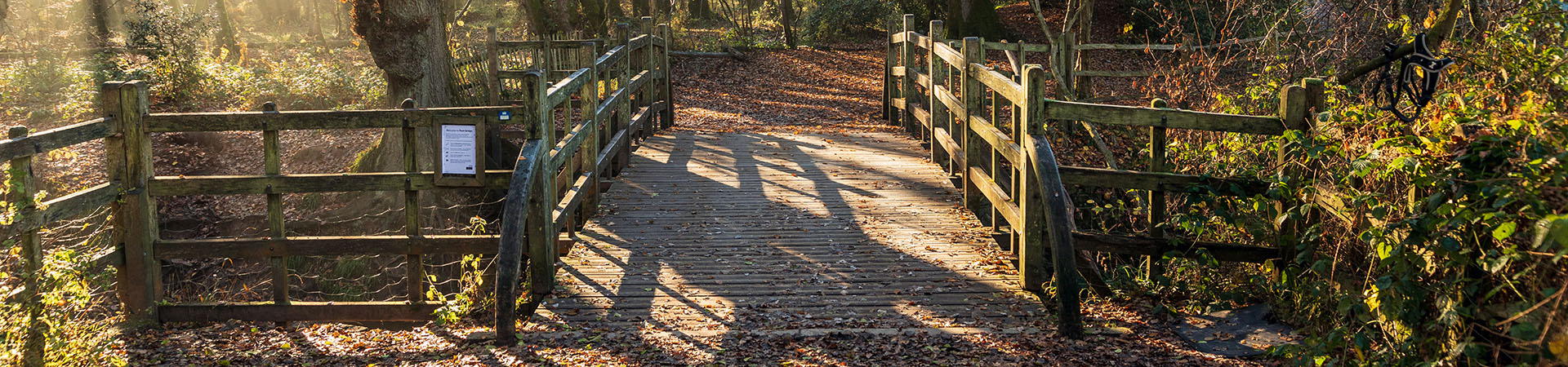 Ashdown Forest Cottages