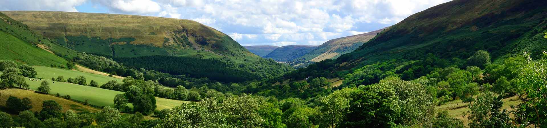 Holiday cottages in Presteigne