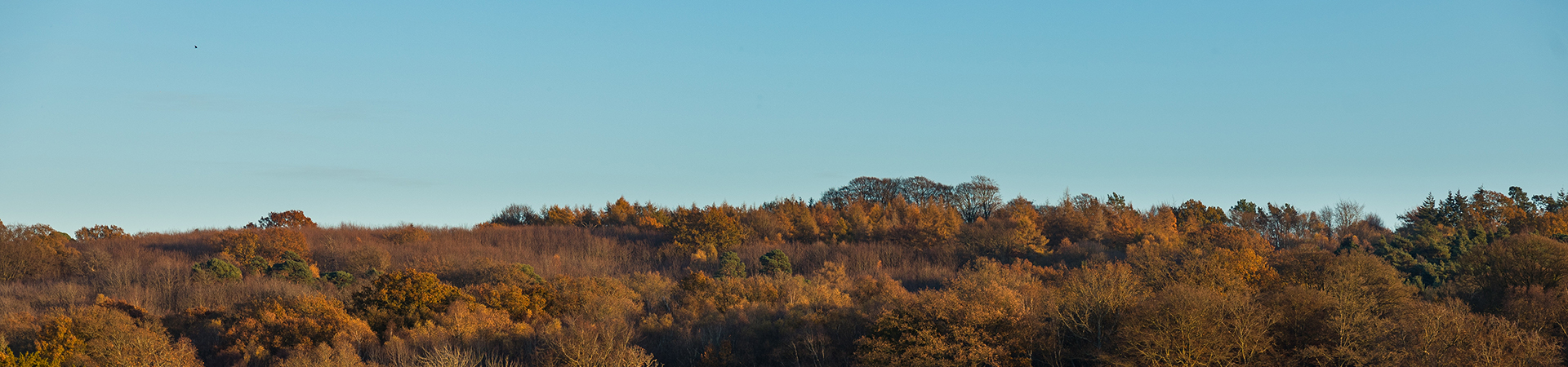 Crowborough Cottages