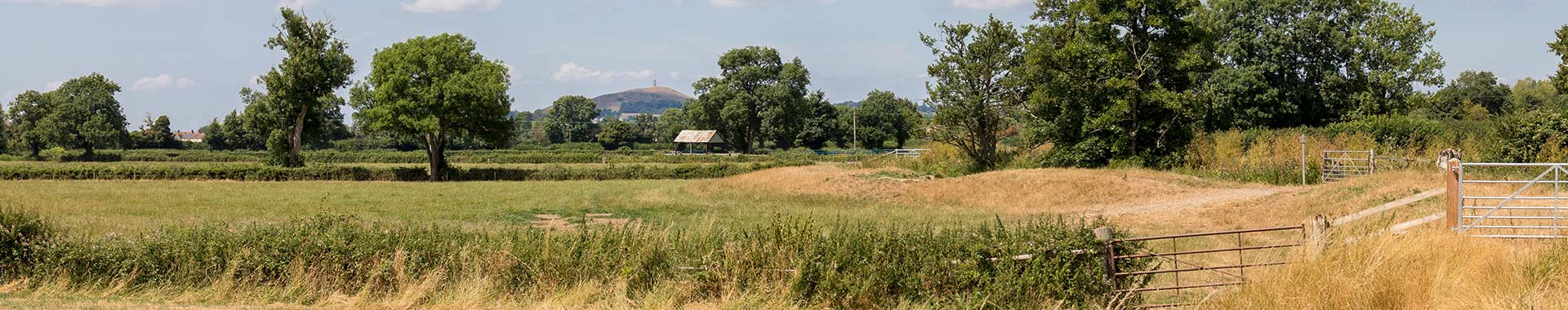 Somerset Levels Cottages