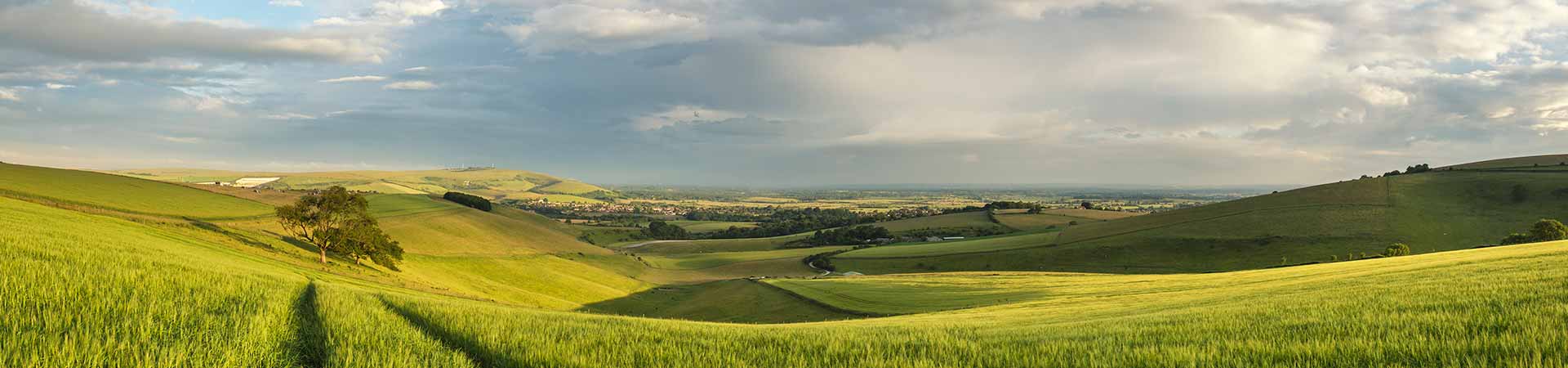 South Downs holiday cottages