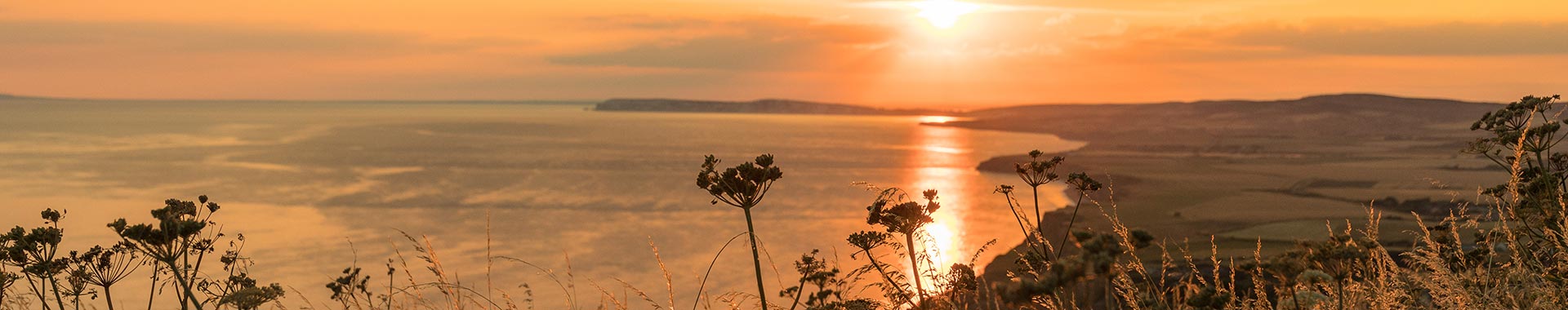 South Wight Cottages