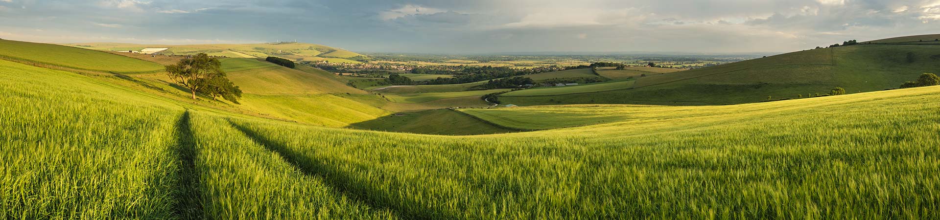 West Sussex Cottages