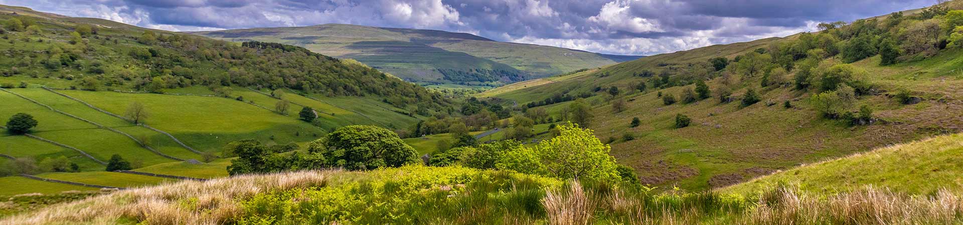Cottages in the Yorkshire Dales